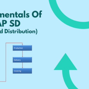 ERP- SAP SD