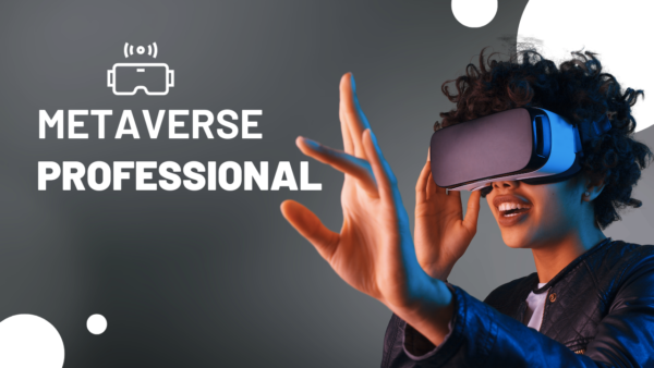 Metaverse Professional Course (Live Online)