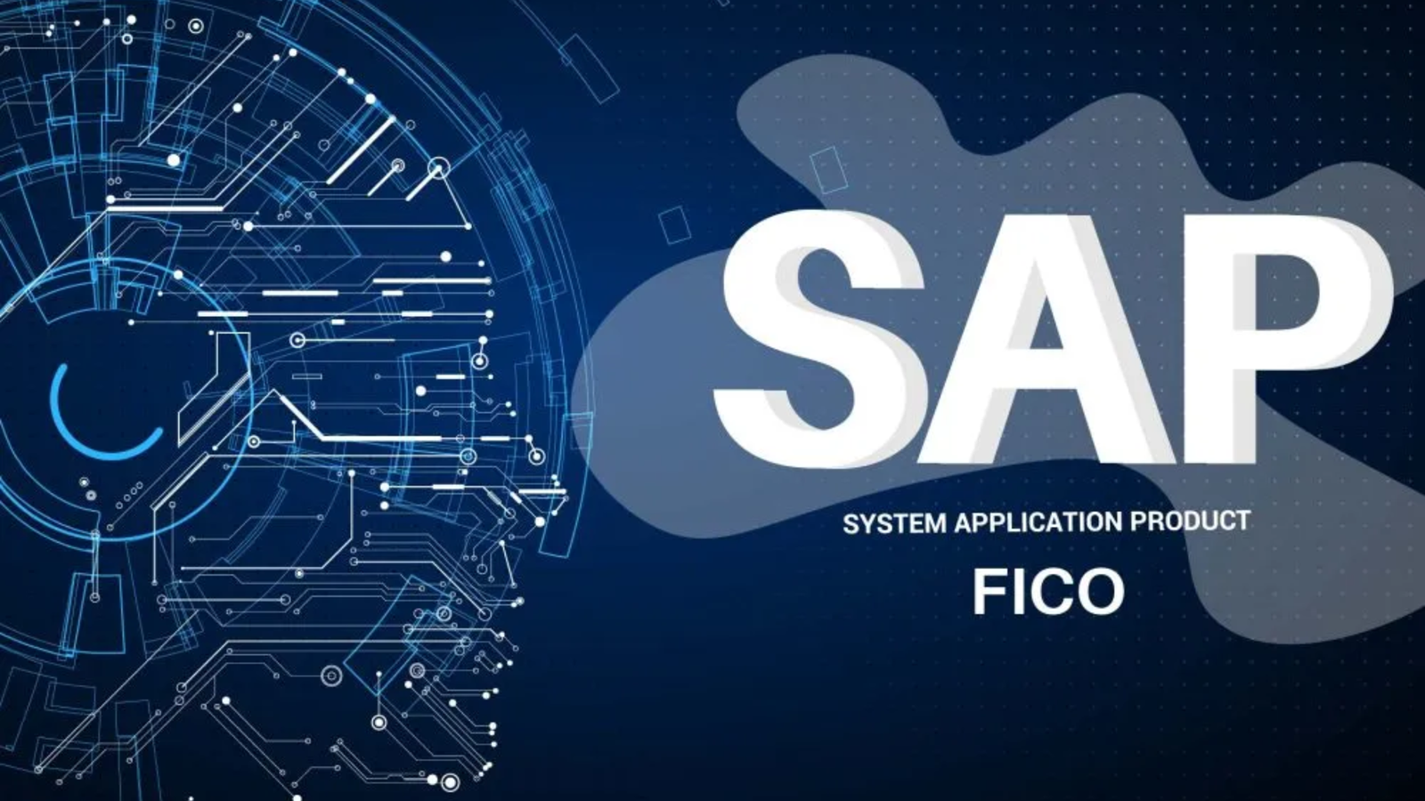 ERP – SAP FICO S/4 HANA (Live Online)