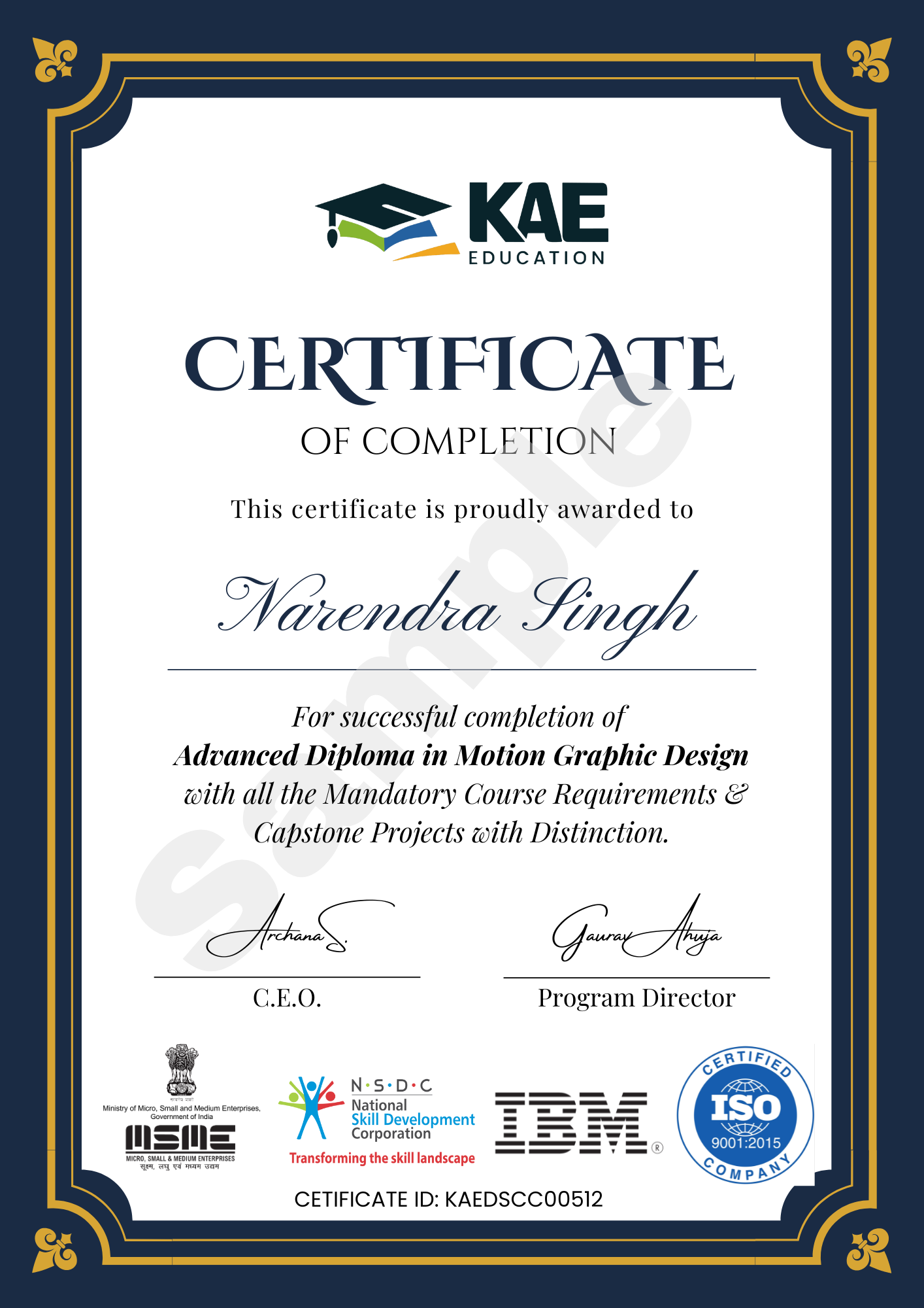 Advanced Diploma in Motion Graphic Design