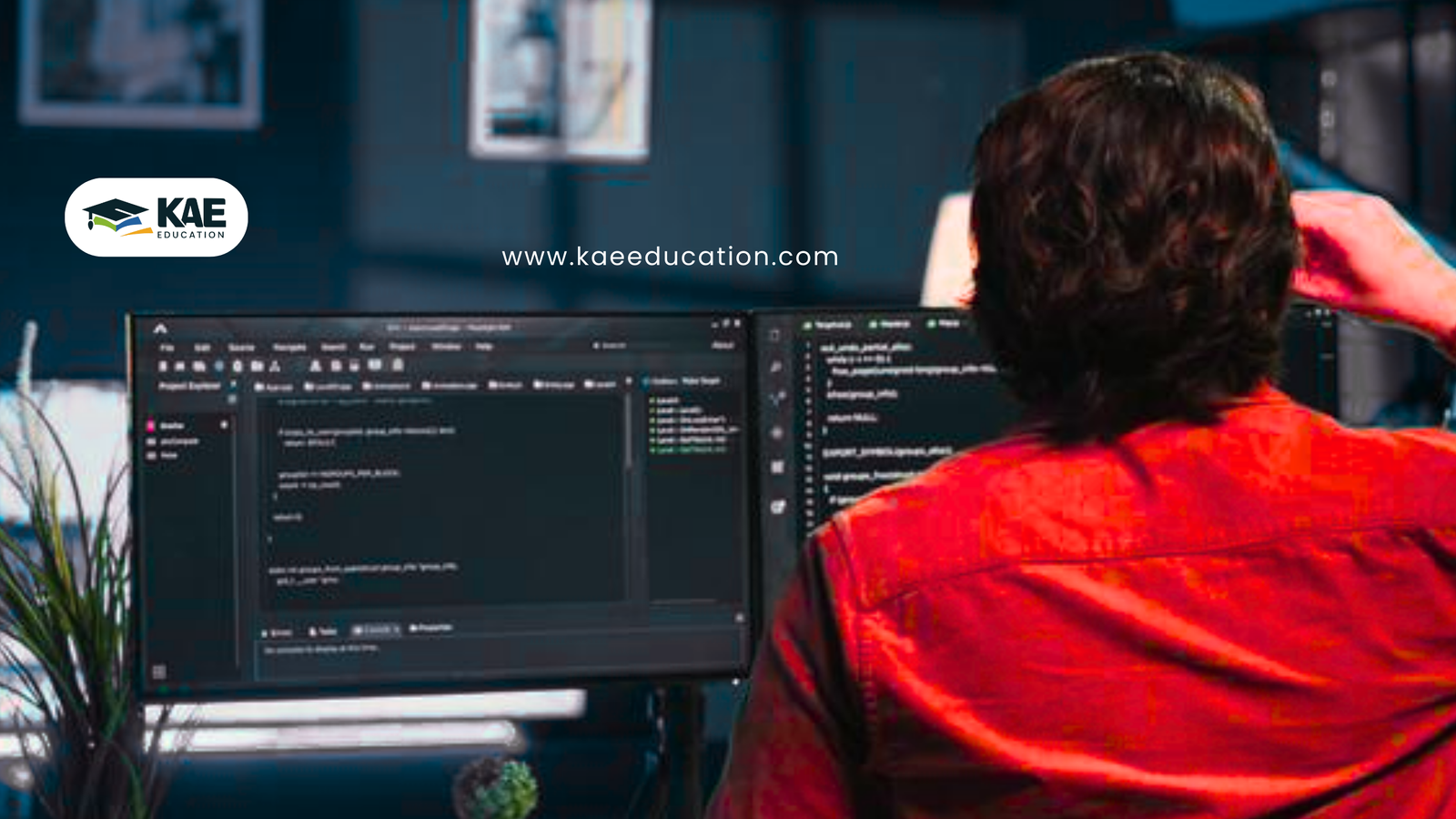 Javascript Developer